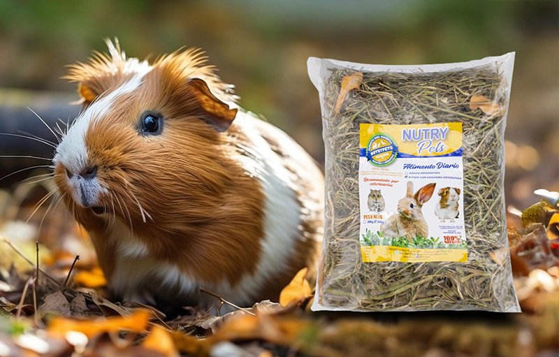 NutryPets - Alfalfa y Zanahoria Deshidrtada -Producto