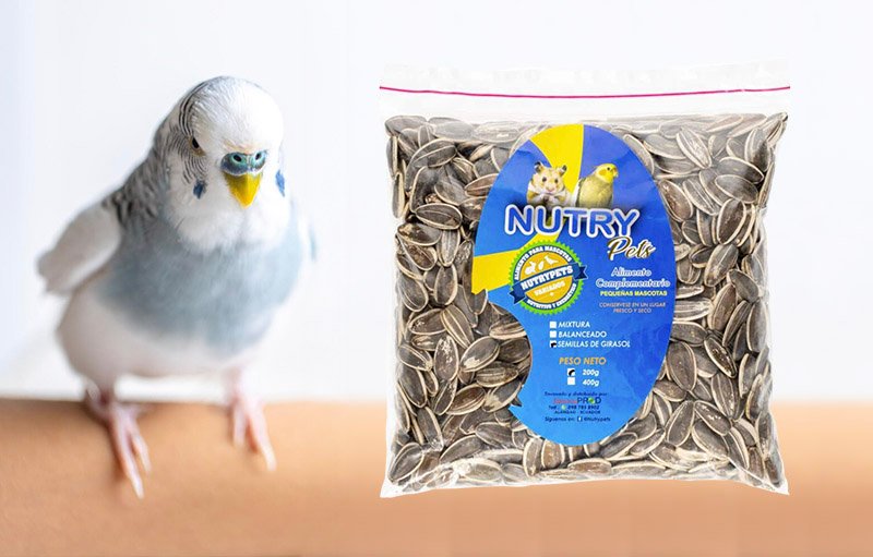 Semillas de Girasol - NutryPets - Producto