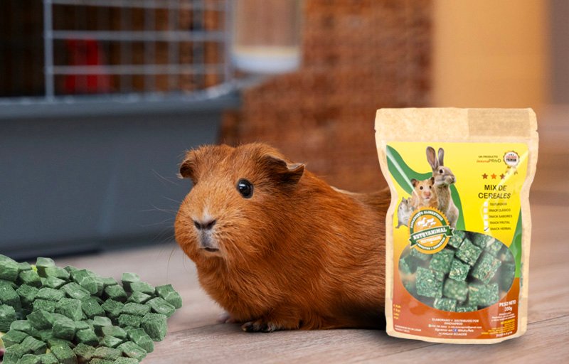 Nutryanimal - Snack Herval - Presentación Nutryanimal - Snack Herval - Presentación