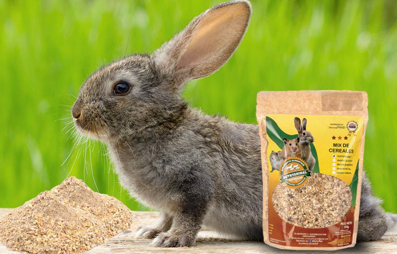 Nutryanimal - Snack Texturizado - Producto Nutryanimal - Snack Texturizado - Producto