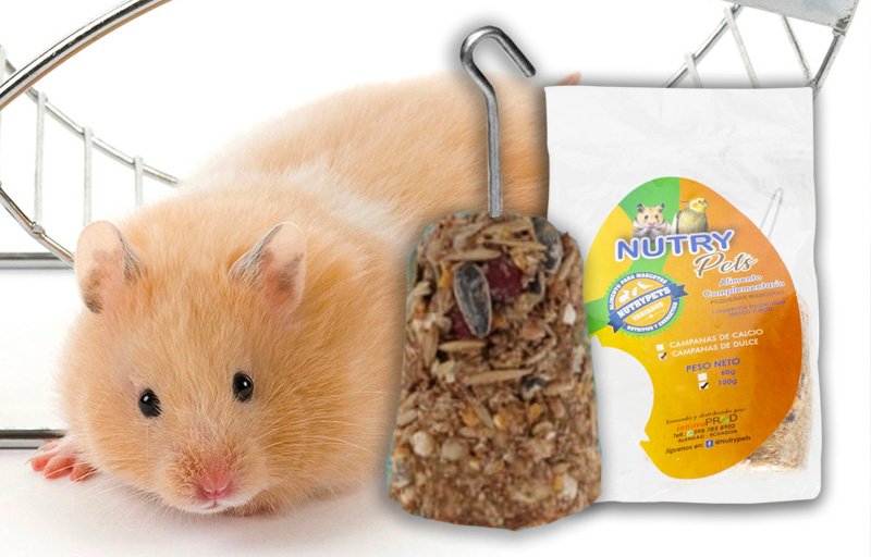 Campana de Cereales - NutryAnimal - Hamsters