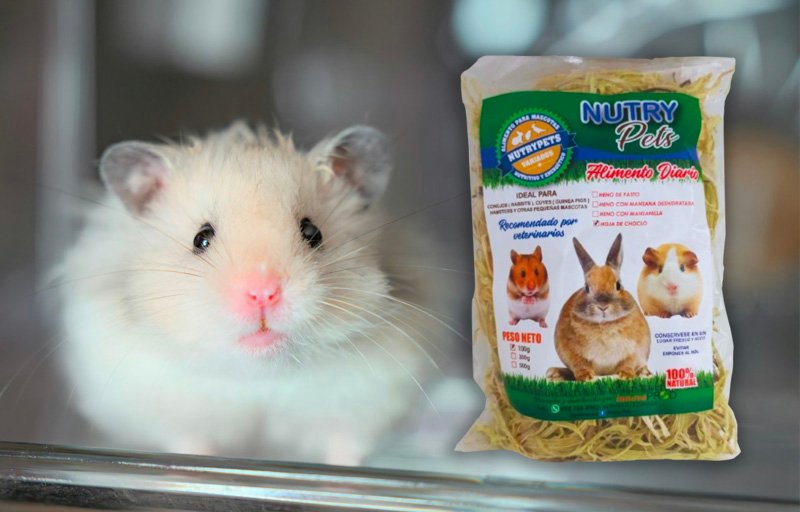 Heno de hojas de choclo - NutryPets - Hamsters