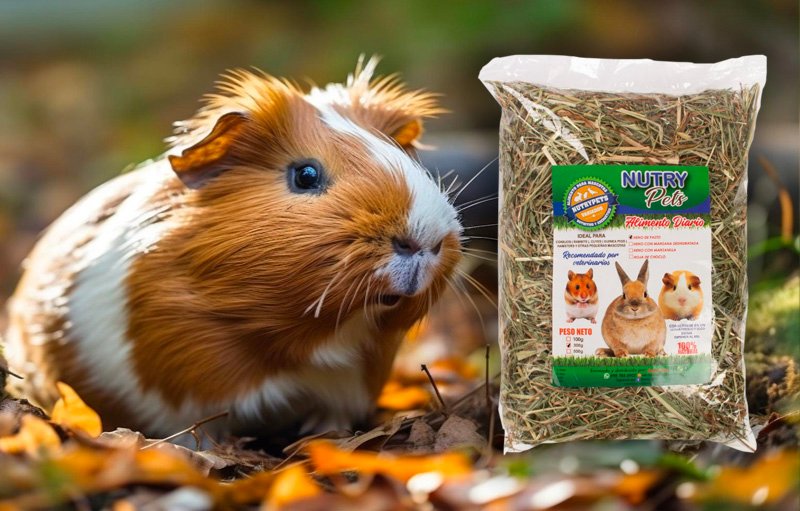 Heno-de-Pastos-NutryPets-Cuyes Heno-de-Pastos-NutryPets-Cuyes