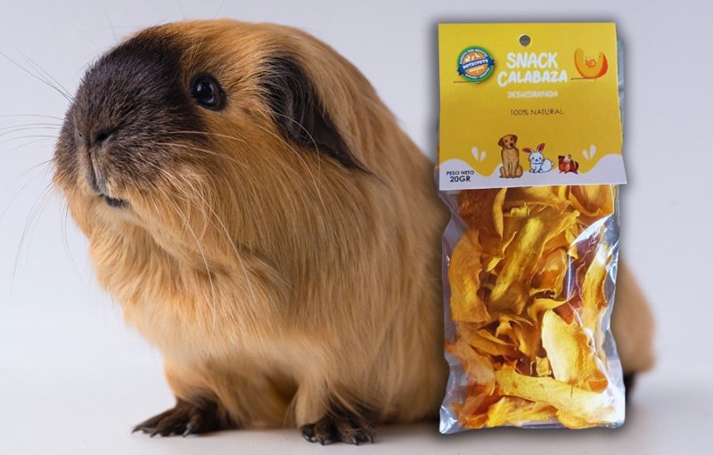 Calabaza - Deshidratada - NutryPets - Cuyes Calabaza - Deshidratada - NutryPets - Cuyes