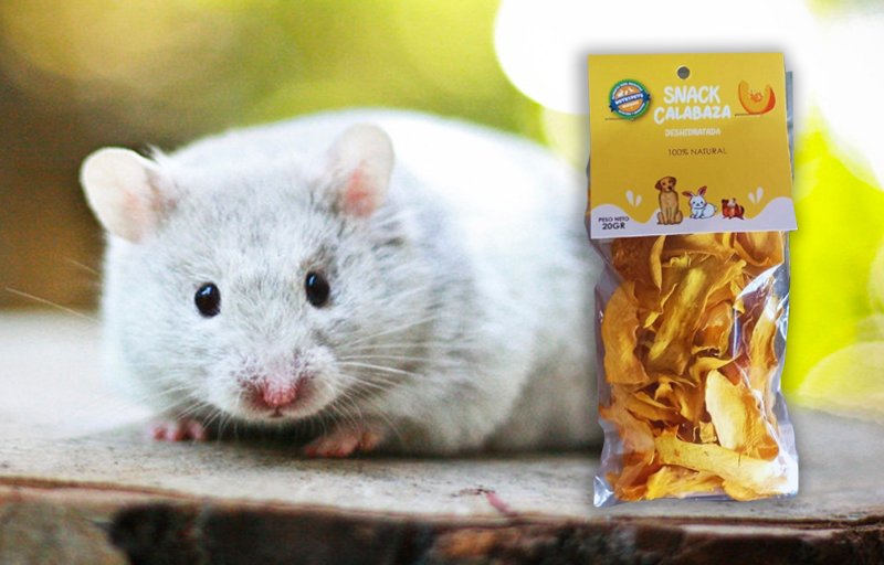Calabaza deshidratada - nutrypets - hamsters