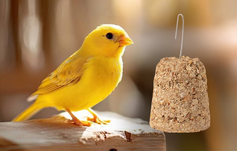 campana-miel-semillas-nutrybird-aves2 campana-miel-semillas-nutrybird-aves2