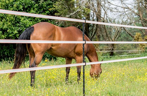 Cercado - electrico - caballos - innovaprod Cercado - electrico - caballos - innovaprod