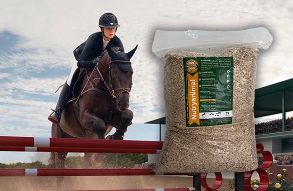 equino - innovaprod - nutryanimal - competencia equino - innovaprod - nutryanimal - competencia