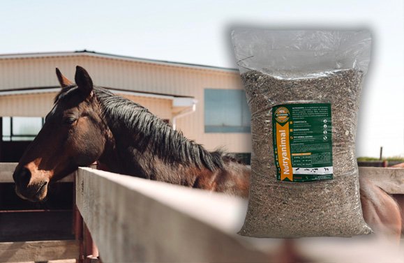 equino - innovaprod - nutryanimal - digestivo equino - innovaprod - nutryanimal - digestivo