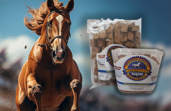 NutryHorse - Innovaprod - Web NutryHorse - Innovaprod - Web