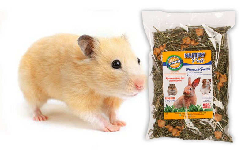 Heno - Alfalfa - Zanahoria Deshidratada - Hamster