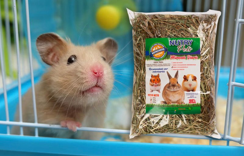 Heno manzanilla - nutrypets - hamsters
