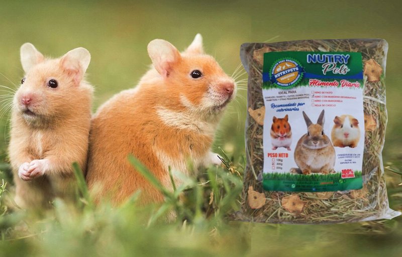 Heno - Pasto - Manzana - Hamster