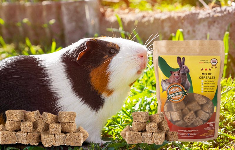 Snack - Clasico - Cuyes - NutryAnimal Snack - Clasico - Cuyes - NutryAnimal