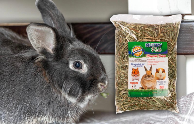 NutryPets - Heno de pastos - Conejos NutryPets - Heno de pastos - Conejos