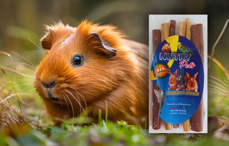 Palitos-Masticables-NutryPets-Cuyes Palitos-Masticables-NutryPets-Cuyes