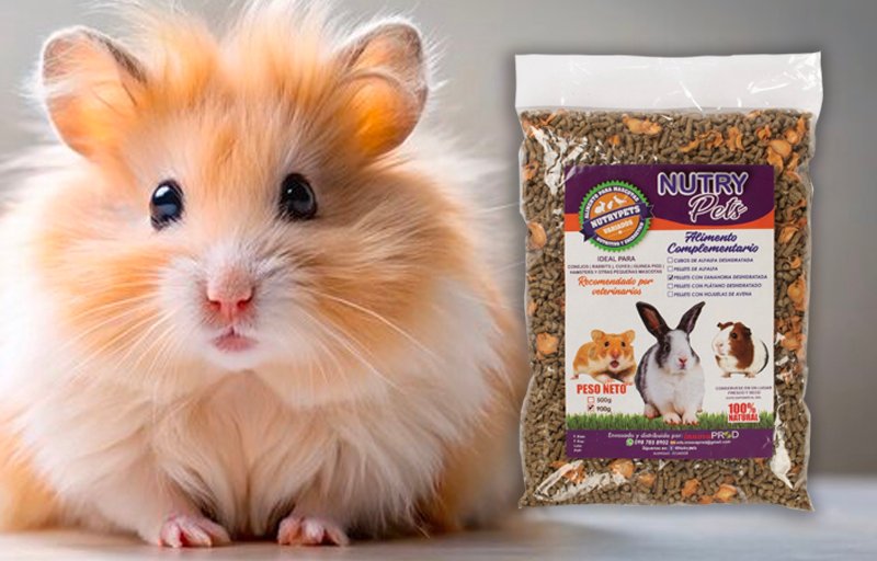 Pallets Zanahoria Deshidratada - Hamster
