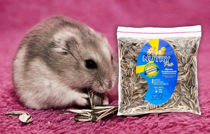 Semillas de girasol - nutrypets - hamsters