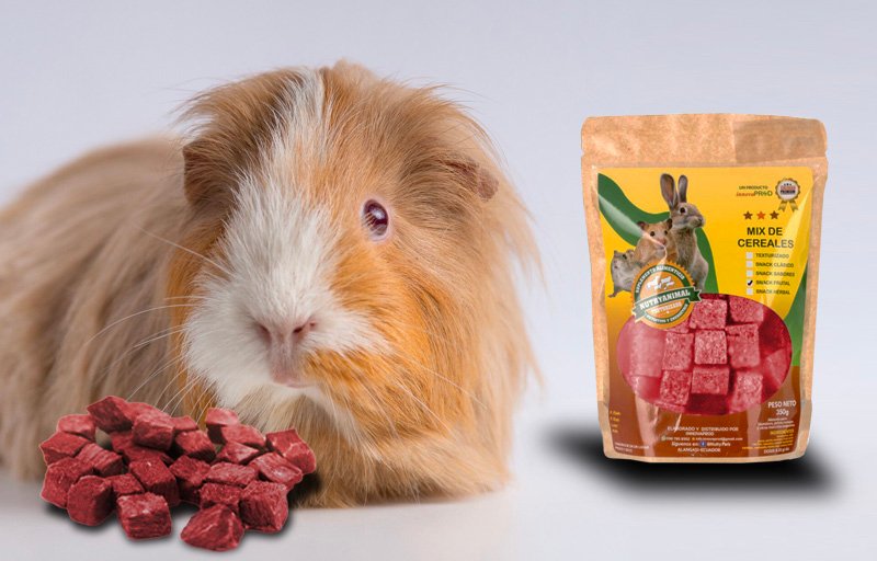 Snack-Frutal-NutryAnimal-Cuyes Snack-Frutal-NutryAnimal-Cuyes