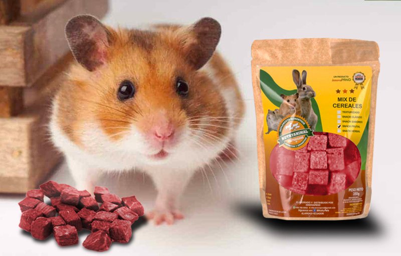 Snack - Frutal - Innovaprod - NutryAnimal - Hasters