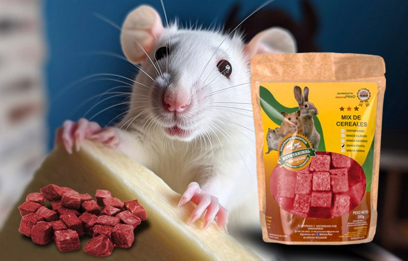 Snack - Frutal - Innovaprod - NutryAnimal - Roedores Snack - Frutal - Innovaprod - NutryAnimal - Roedores