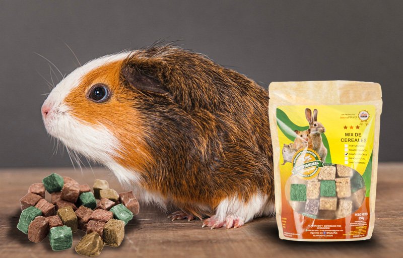 Snack-Sabores-NutryAnimal-Cuyes Snack-Sabores-NutryAnimal-Cuyes