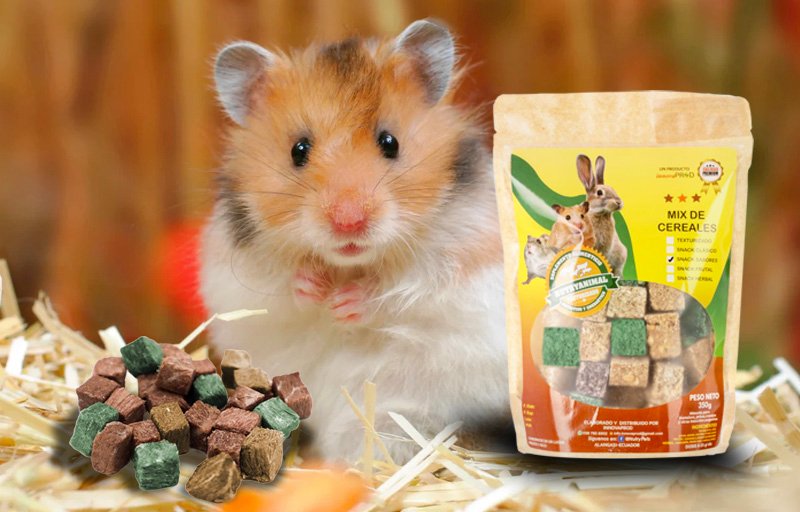 Snack - Sabores - NutryAnimal - Hmasters