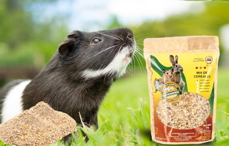 Snack-Texturizado-NutryAnimal-Innovaprod-Cuyes Snack-Texturizado-NutryAnimal-Innovaprod-Cuyes