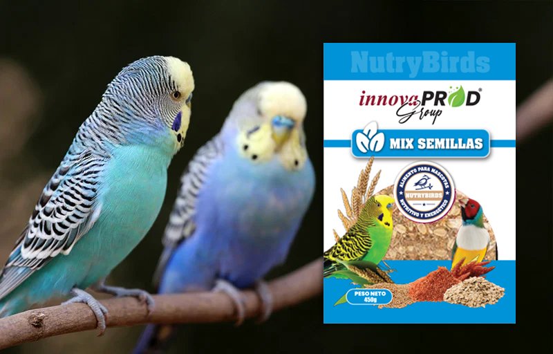 Mix-Semillas - InnovaprodGroup - NutryAnimal - NutryPets Mix-Semillas - InnovaprodGroup - NutryAnimal - NutryPets