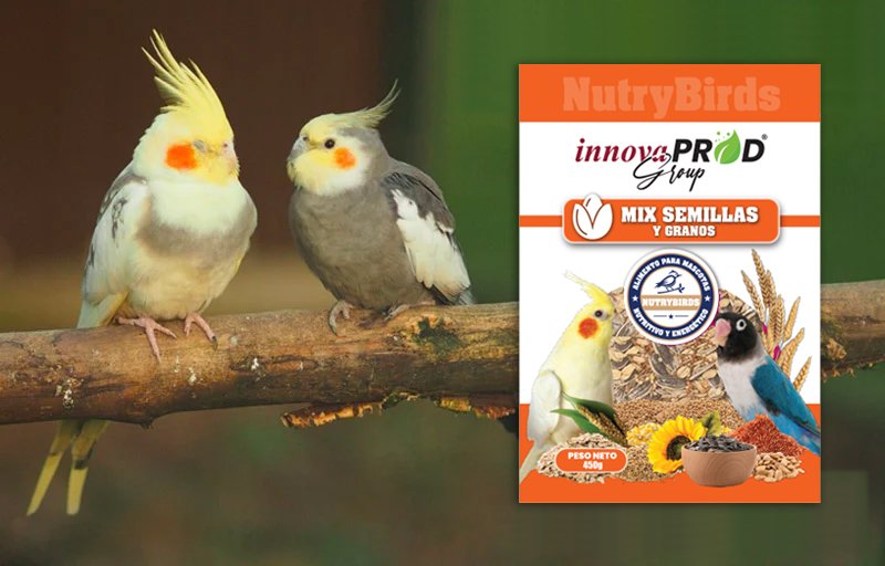 Mix Semillas y Granos - InnovaprodGroup - NutryAnimal - NutryPets Mix Semillas y Granos - InnovaprodGroup - NutryAnimal - NutryPets